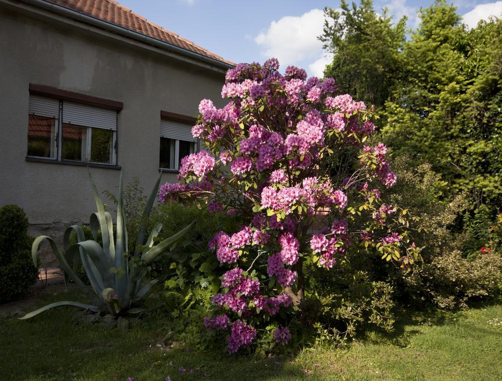 Guest House Kapetanova Kuca Križevci Exterior foto